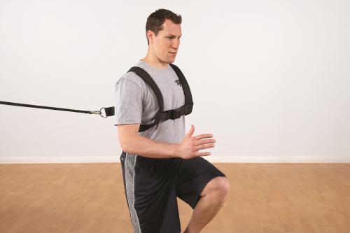 Harnais rembourré Pro Padded