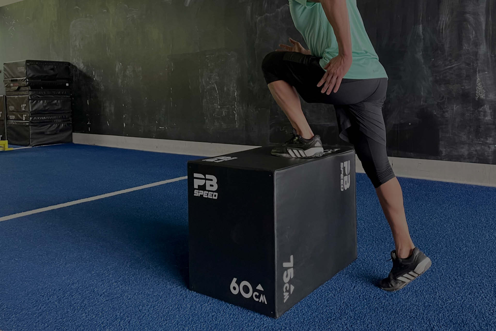 plyobox_header